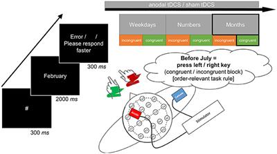 Switching between Multiple Codes of SNARC-Like Associations: Two Conceptual Replication Attempts with Anodal tDCS in Sham-Controlled Cross-Over Design